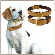Personalisiert Hund ID Halsband Echtes Leder Kleine Mittlere Hunde Katze Halsband Anpassen Haustier Name Und Telefonnummer Kostenlose Gravur