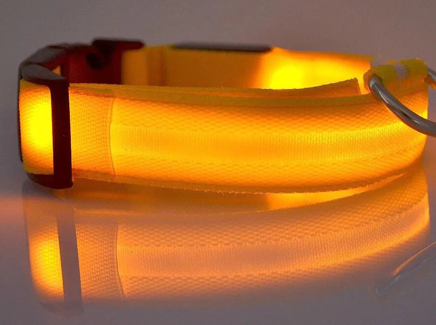 YUDODO Nylon LED Haustier Hund Halsbänder 2025: Nacht Sicherheit Blinkend Leuchtend Fluoreszierend - Tiere Hund Leine XS-XL 7 Farben Alle Jahreszeiten