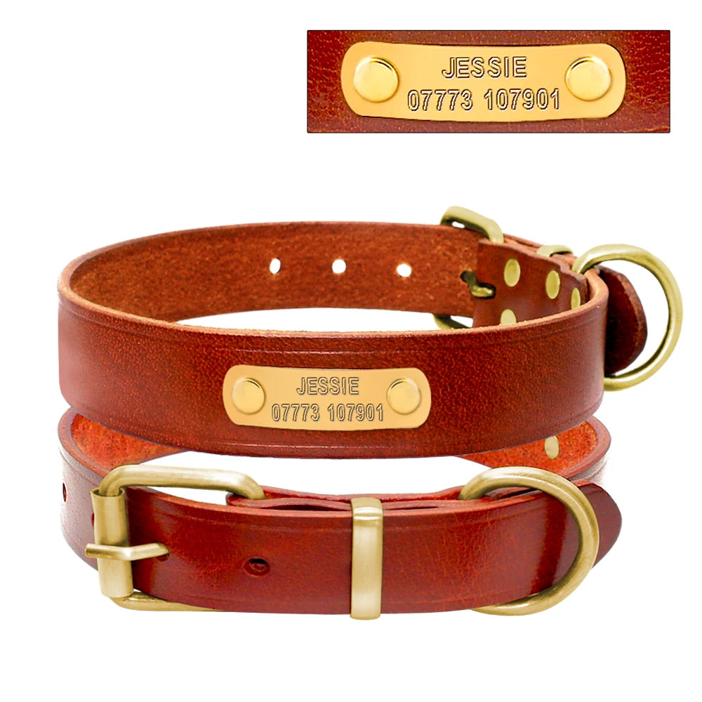 Personalisiert Hund ID Halsband Echtes Leder Kleine Mittlere Hunde Katze Halsband Anpassen Haustier Name Und Telefonnummer Kostenlose Gravur