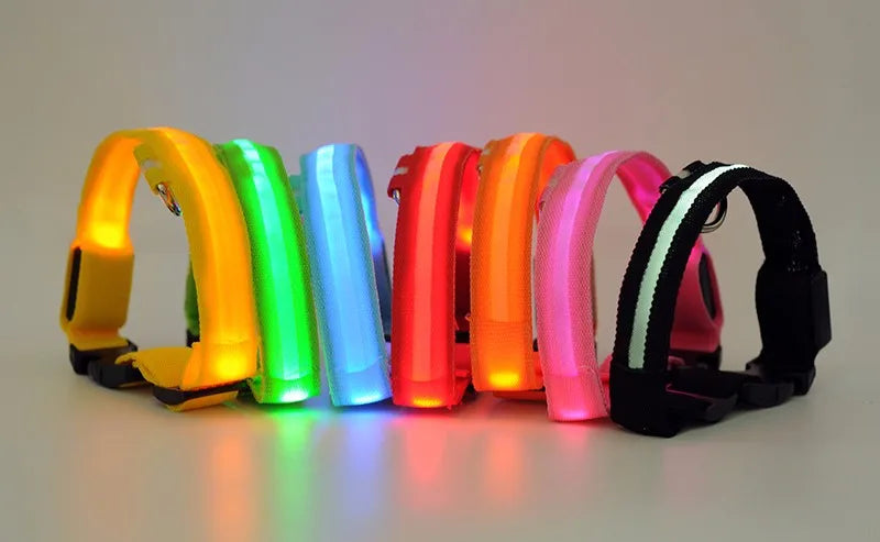 YUDODO Nylon LED Haustier Hund Halsbänder 2025: Nacht Sicherheit Blinkend Leuchtend Fluoreszierend - Tiere Hund Leine XS-XL 7 Farben Alle Jahreszeiten