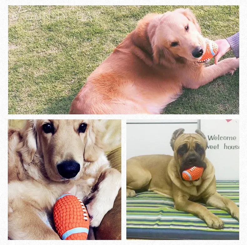 HOOPET Haustier Hund Spielzeug Bälle 2025: Quietsch Welpen Spielzeug Tennis Fußball - Zahn Reinigung Gummi Orange Weiß Blau Hunderassen Spielspaß
