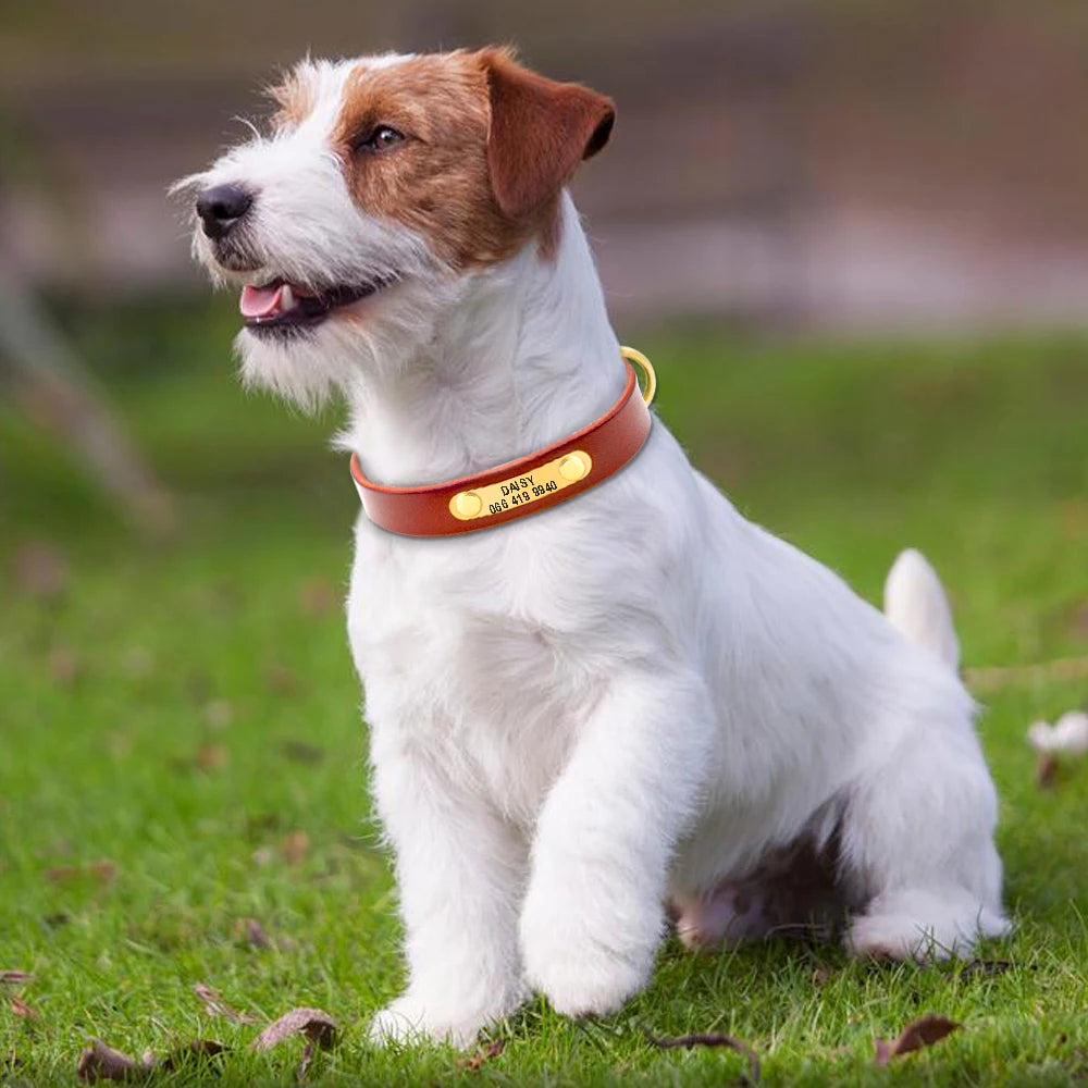 Personalisiert Hund ID Halsband Echtes Leder Kleine Mittlere Hunde Katze Halsband Anpassen Haustier Name Und Telefonnummer Kostenlose Gravur