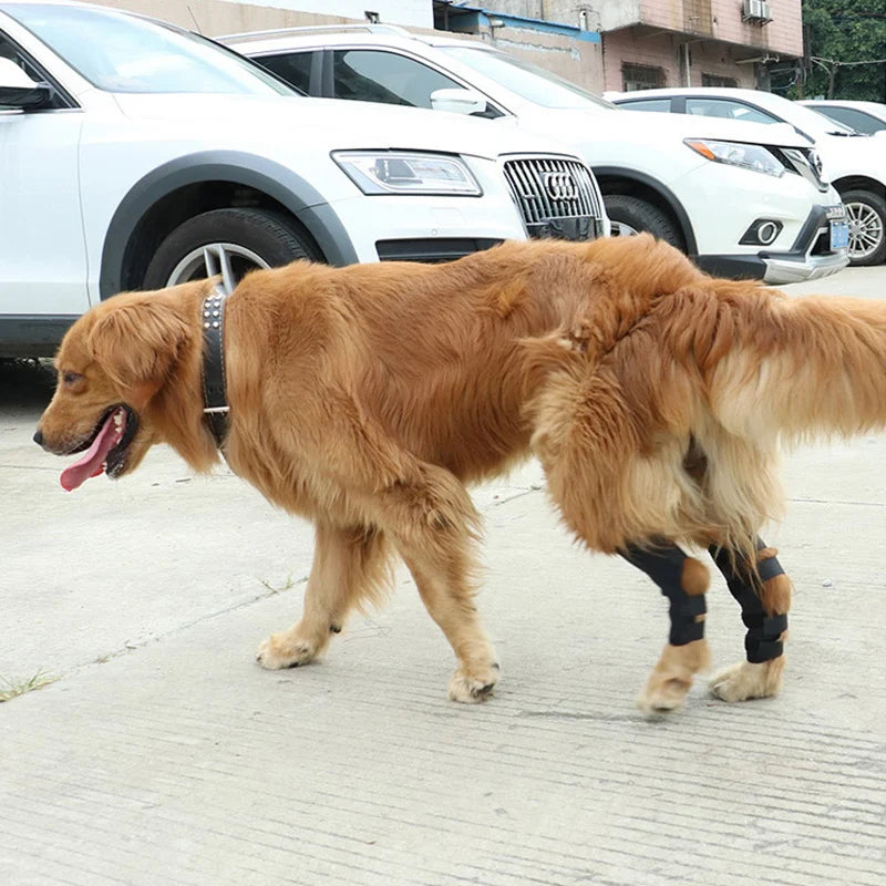 Hunde-Kniebandage 2025: Verstellbar Gelenk-Support - Pet Health Collection