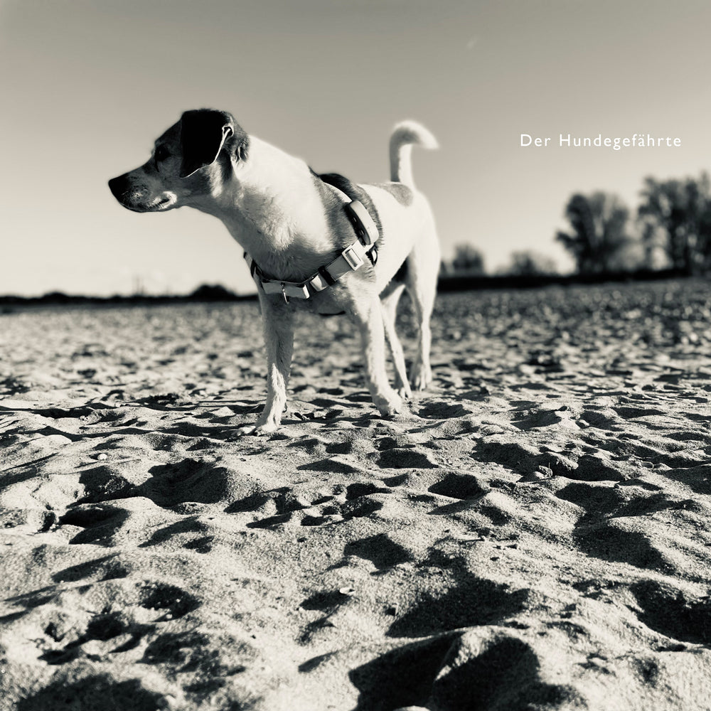 Anti-Stress-Geschirr STURMFREI®, Größe S für Kraftprotze