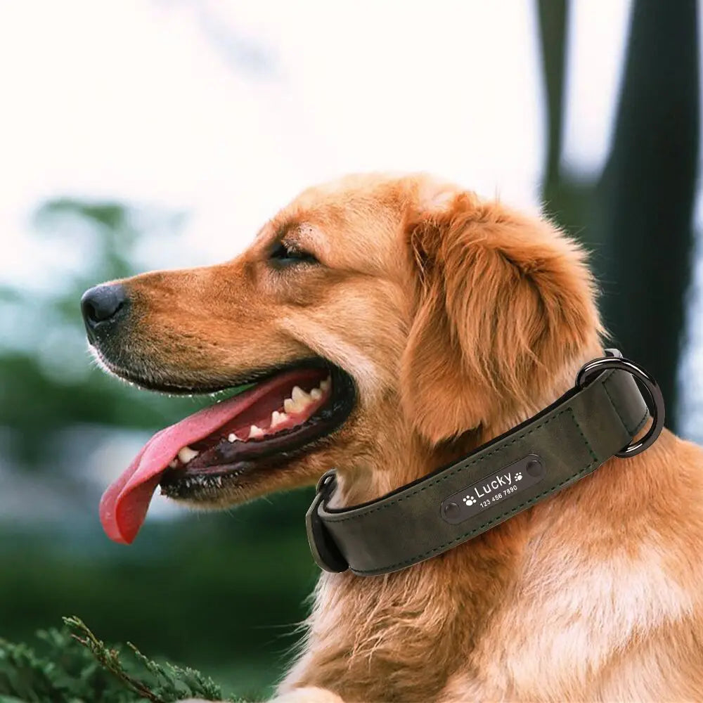 Anpassen Luxus Große Kleine Big Hund Halsband Leder Personalisiert, Breit Leder Personalisiert Halsband für Hunde Name Graviert