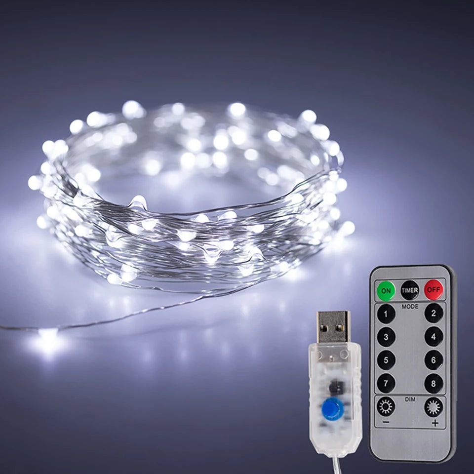 OSIDEN USB LED Lichterkette Mit Fernbedienung - Länge 5/10/20 m, Wasserdicht