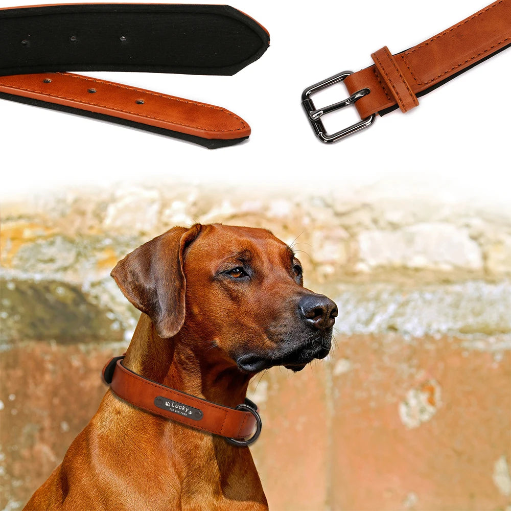 Anpassen Luxus Große Kleine Big Hund Halsband Leder Personalisiert, Breit Leder Personalisiert Halsband für Hunde Name Graviert