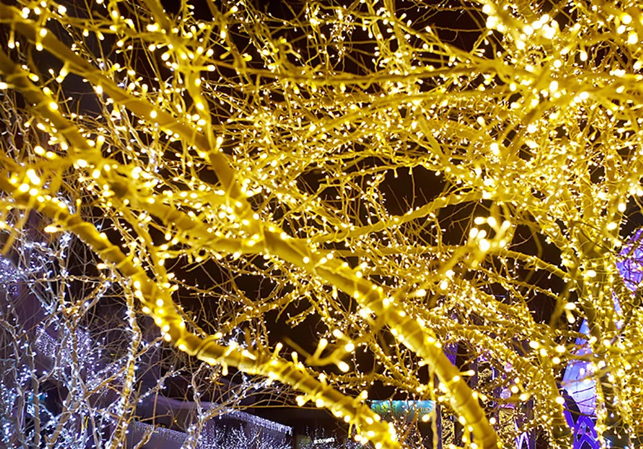 Foroureyes LED Lichterkette Wasserdicht 24V - Länge 100m, >200 LEDs