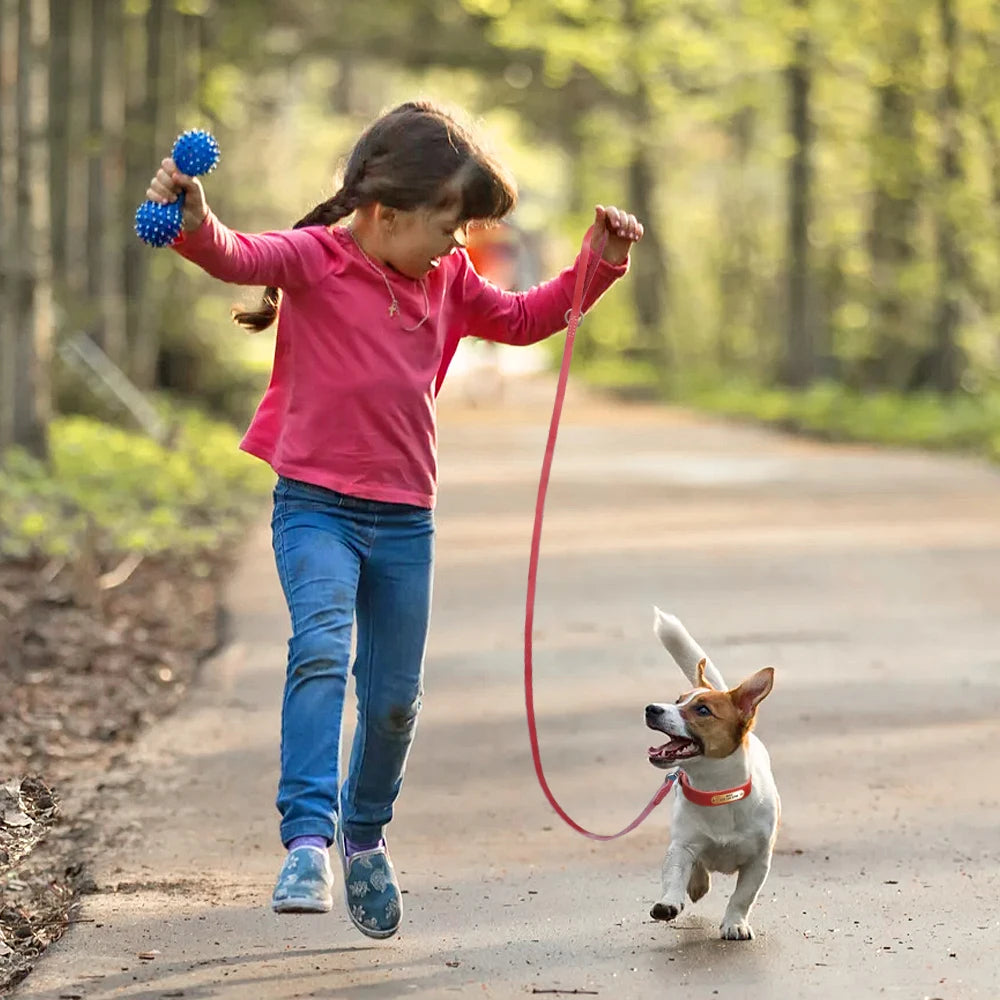 Anpassen Leder Hund Halsband Leine Set Personalisiert Haustier Halsband Leine Kostenlose Graviert Namensschild Für Kleine Mittlere Große Hunde