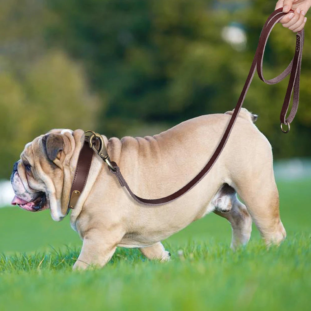 Anpassen Leder Hund Halsband Leine Set Personalisiert Haustier Halsband Leine Kostenlose Graviert Namensschild Für Kleine Mittlere Große Hunde