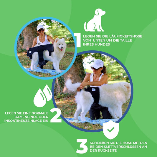 Läufigkeitshose für Hündinnen