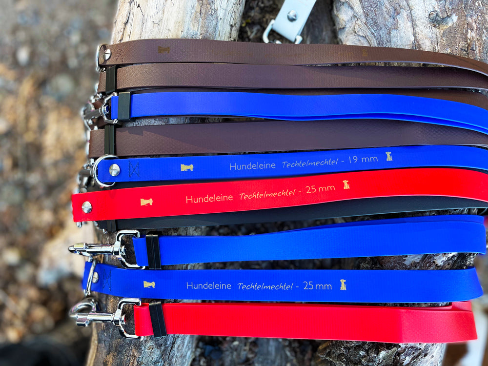 Doppelleine TECHTELMECHTEL aus BioThane®/Pop - Band