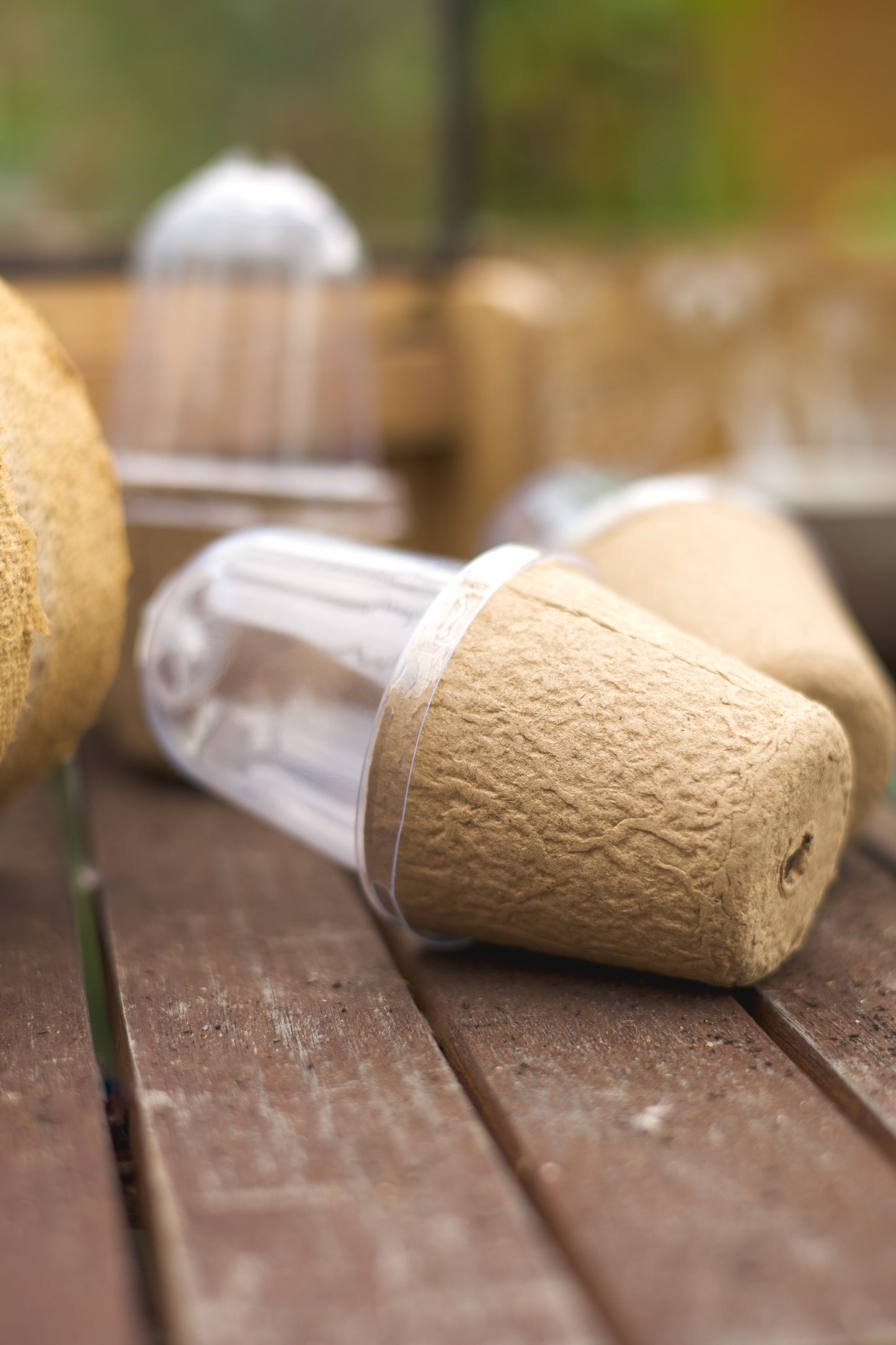 BioGrow Kompostierbare Anzuchtstöpfe - Höhe 11,5 cm Durchmesser 3,9–6 cm