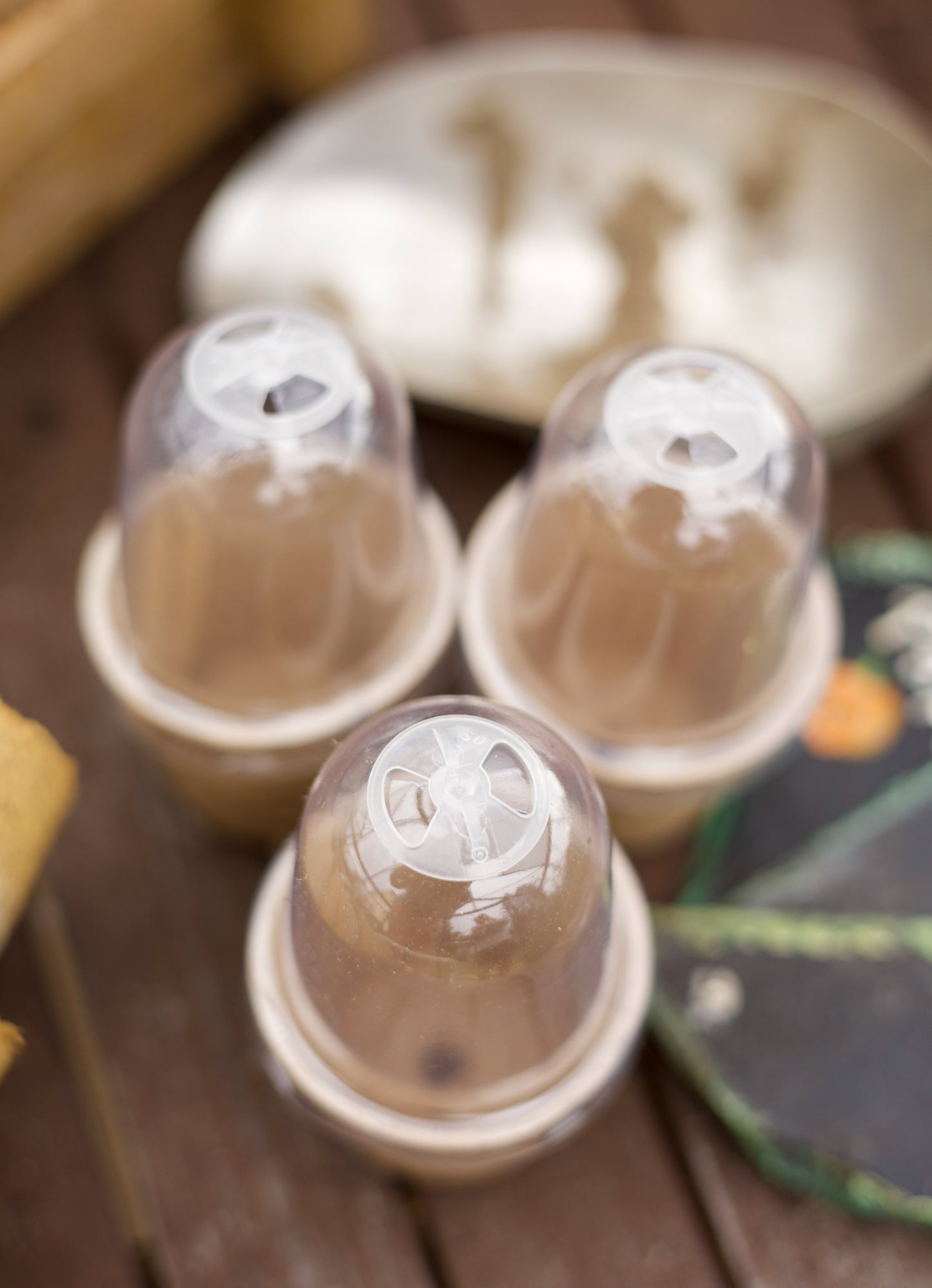 BioGrow Kompostierbare Anzuchtstöpfe - Höhe 11,5 cm Durchmesser 3,9–6 cm