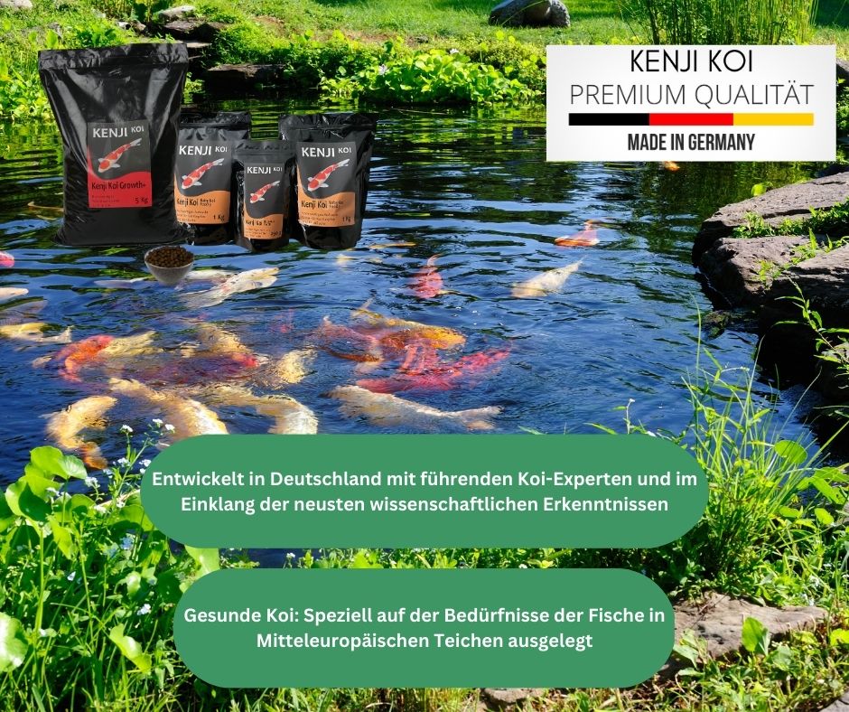 KENJI KOI Daily Koi Food Schwimmendes Koifutter - 1 kg, 2 mm Pellets