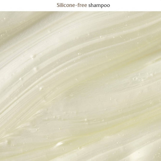 LADOR Moisture Balancing Shampoo - Kapazität 530 ml Haartyp Normal bis Trocken