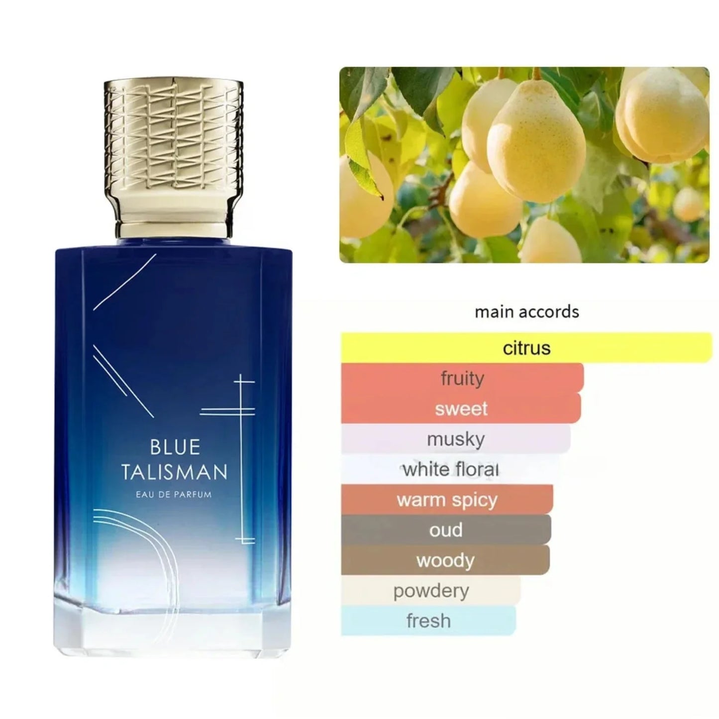 Luxury long lasting floral perfume fleur narcotique blue talisman