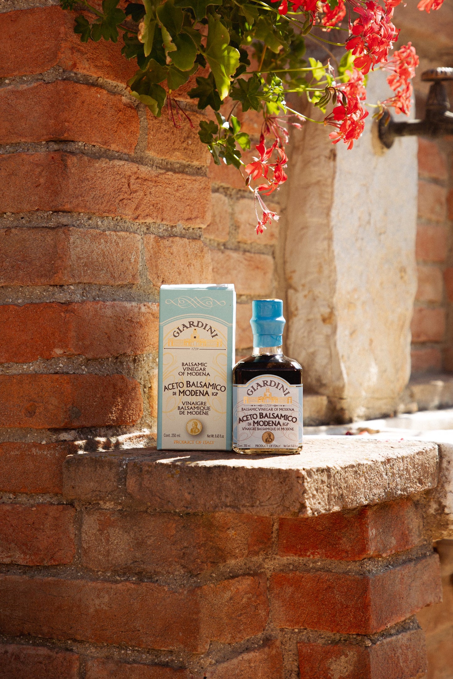 VIVA LA VIDA Aceto Balsamico I.G.P. Reiches Aroma - Inhalt 500 ml, Modena Herkunft