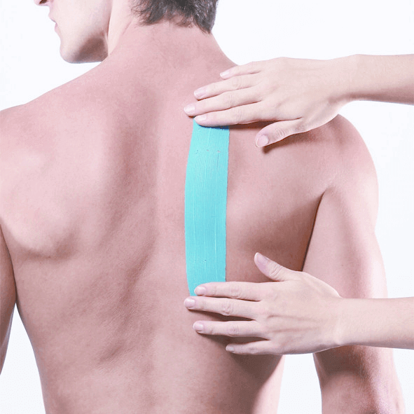 Maxtaping A+ / 8195BU/RD