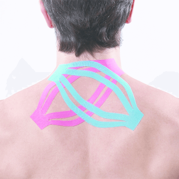 Maxtaping A+ / 8195BU/RD