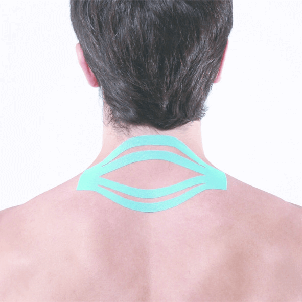 Maxtaping A+ / 8195BU/RD