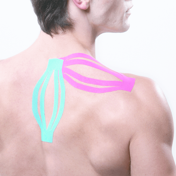 Maxtaping A+ / 8195BU/RD