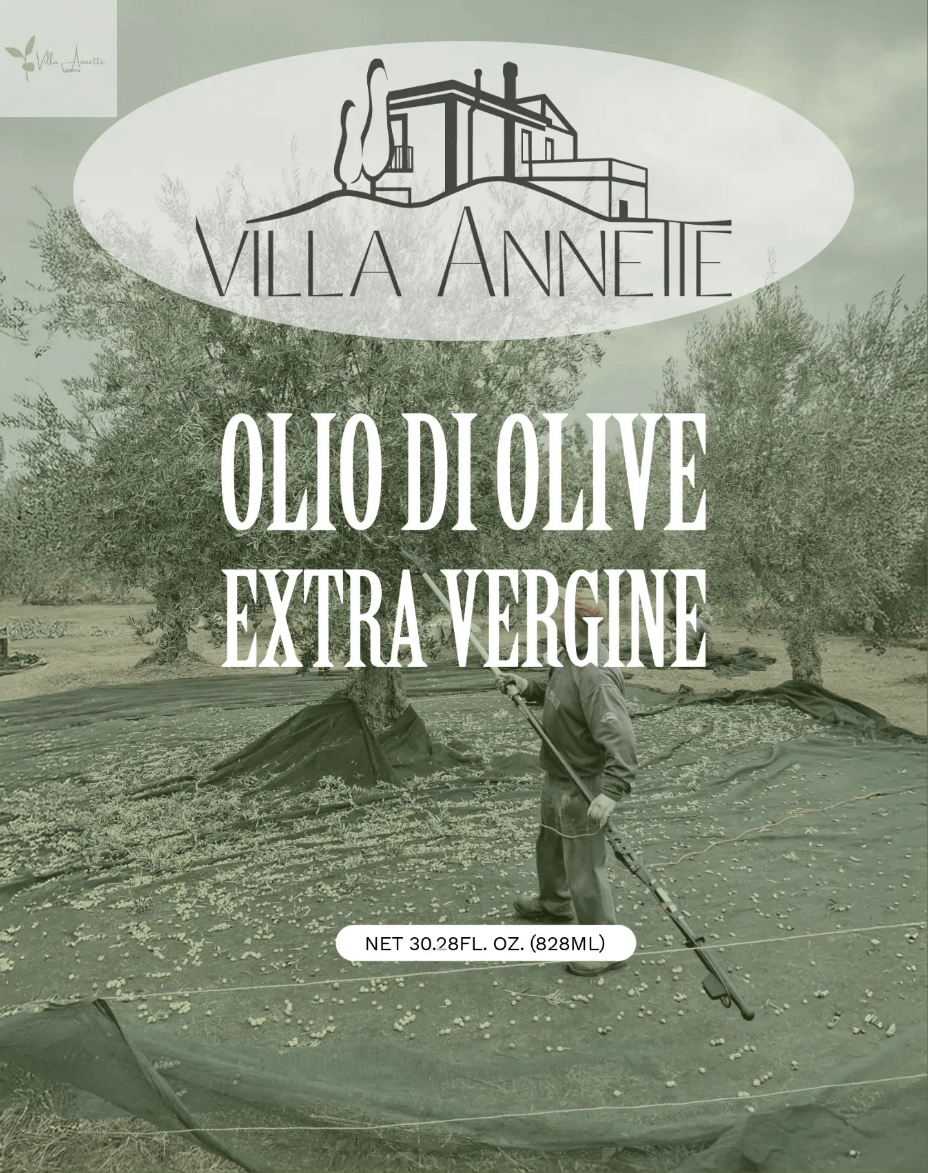 Ulei de măsline extravirgin Villa Annette Calabria Native - Capacitate 500 ml, presat la rece