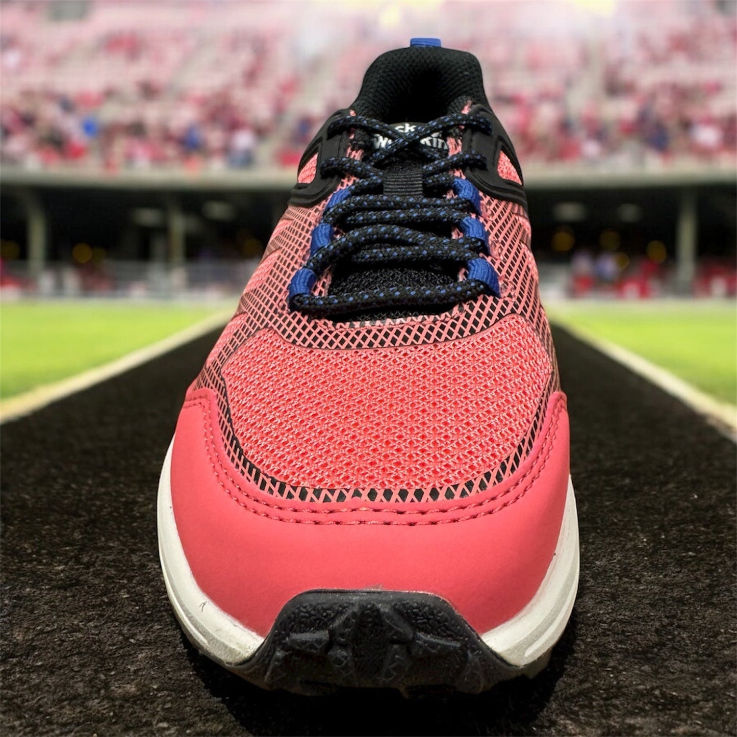 Jack Wolfskin Hiking Jacky Damen Sneaker