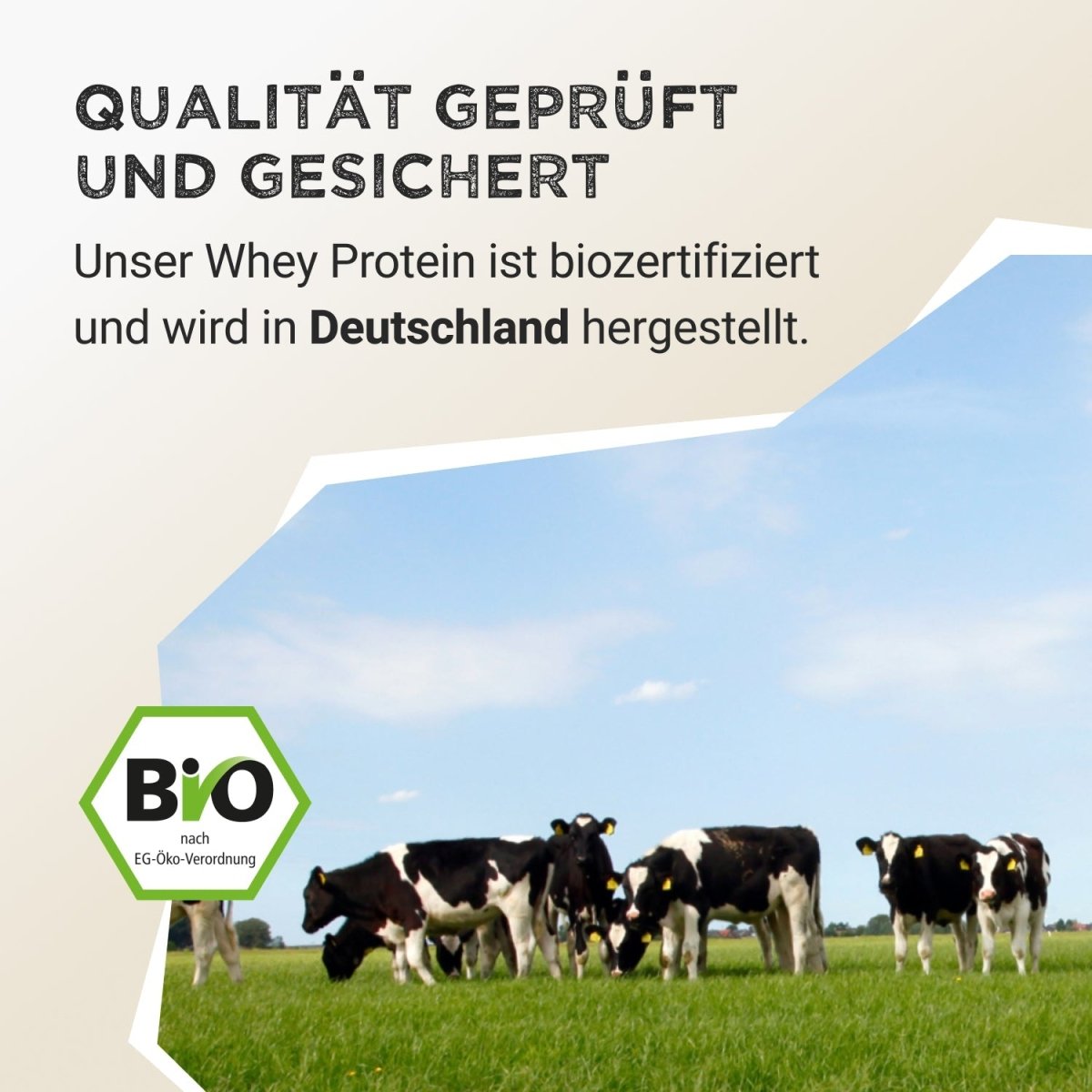 Whey Protein - Vanilla