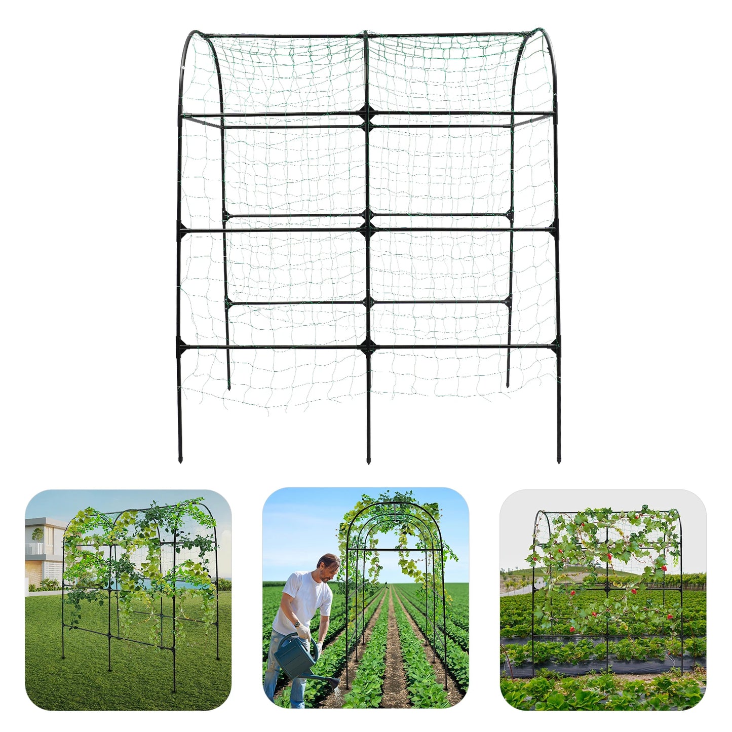 GartenMeister Gartenbogen 230 cm Höhe, 20 mm Rohrdurchmesser, Stahl/PE