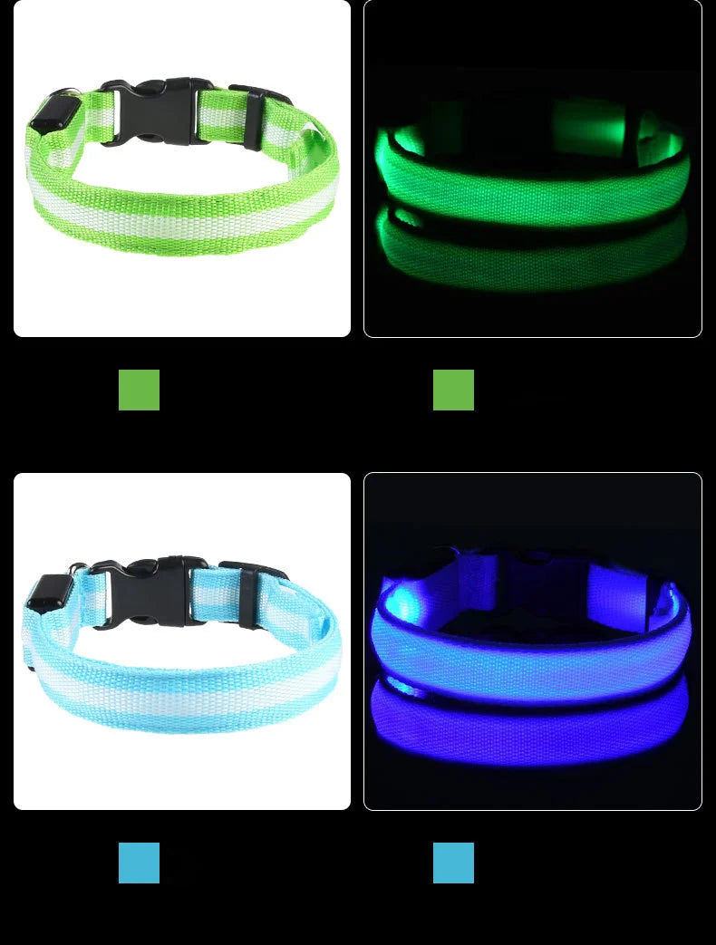 GlowDog Pro LED blinkend Leine - Nylon 1,5 m, USB 5V