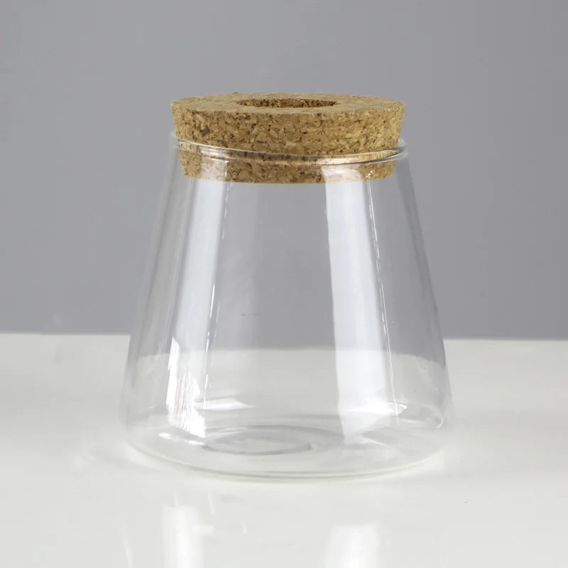 Choice Mini Hydroponischer Blumentopf - Glas 250ml 12cm