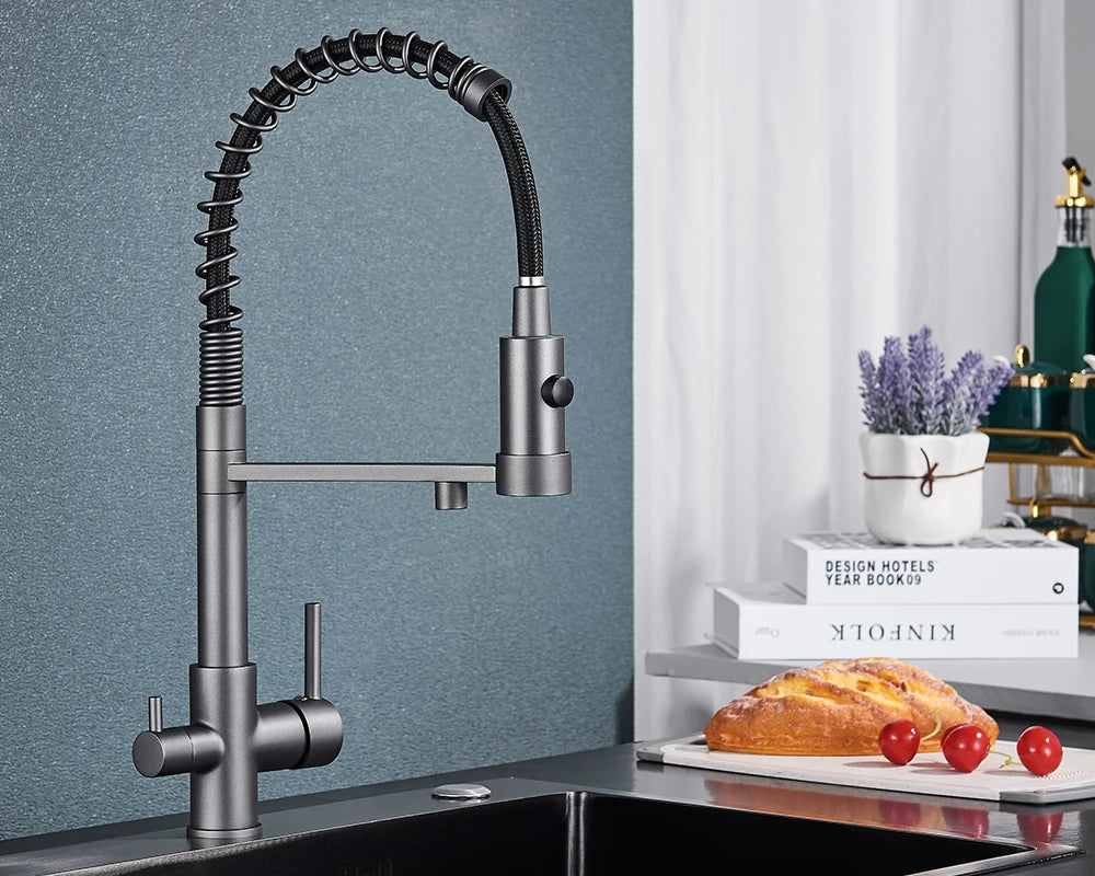 Schwarzer Gefilterter Küchen Wasserfilter