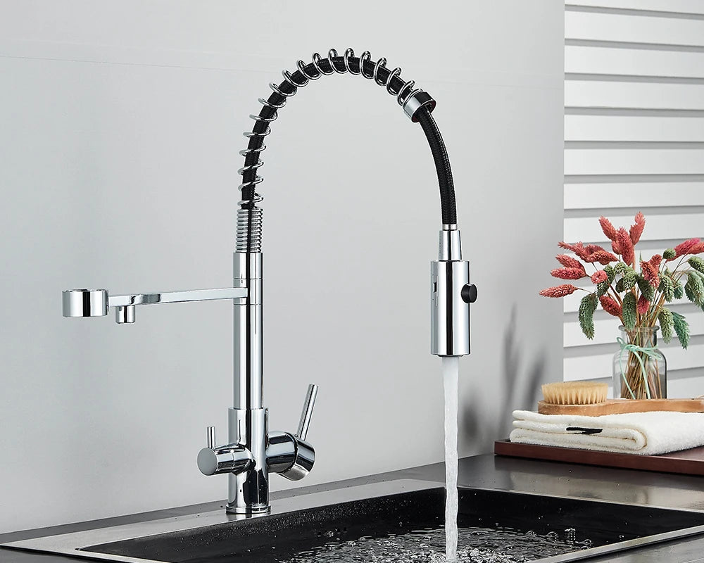Schwarzer Gefilterter Küchen Wasserfilter
