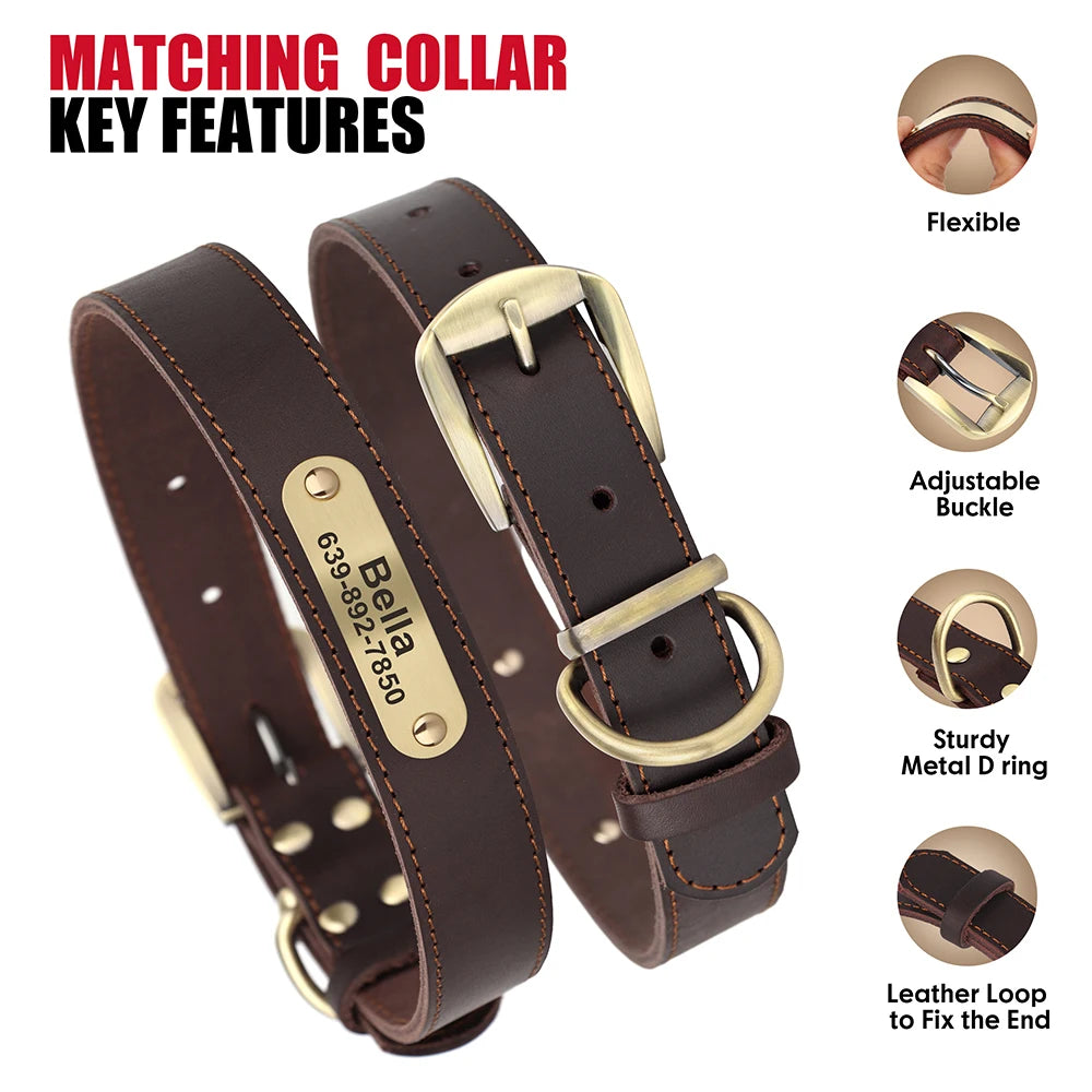 Echtes Leder Hund Halsband Leine Set Personalisiert Haustier Halsband Mit Leine Kostenlose Gravur Namensschild Für Kleine Mittlere Große Hunde