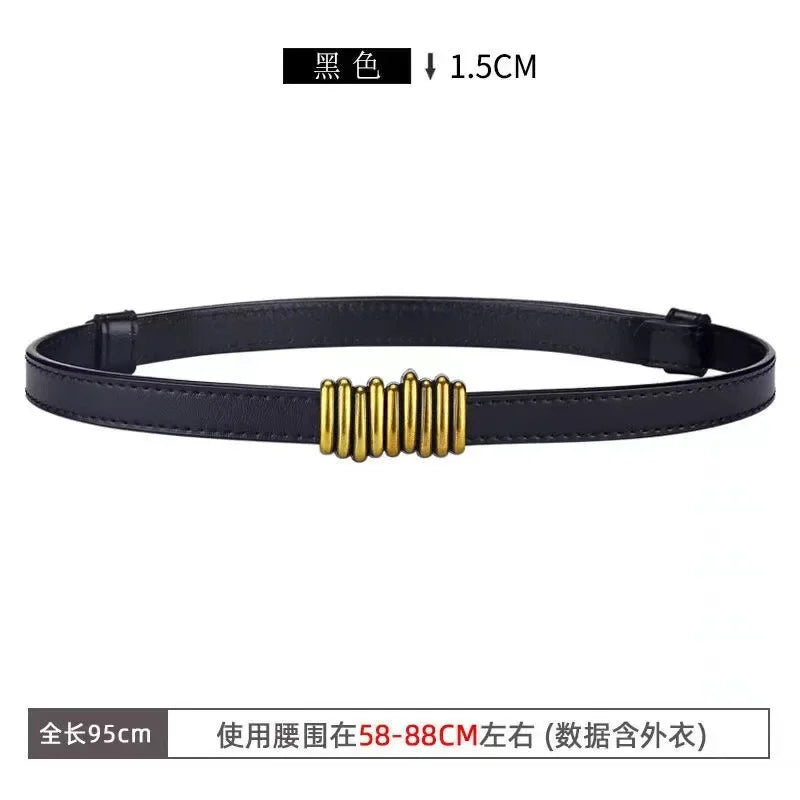 Luxury Elastic Belt Female Thin Waist Strap Pin Buckle Belt for Women Skirt Coat Sweater Leather Belts Ladies Band Decoration
