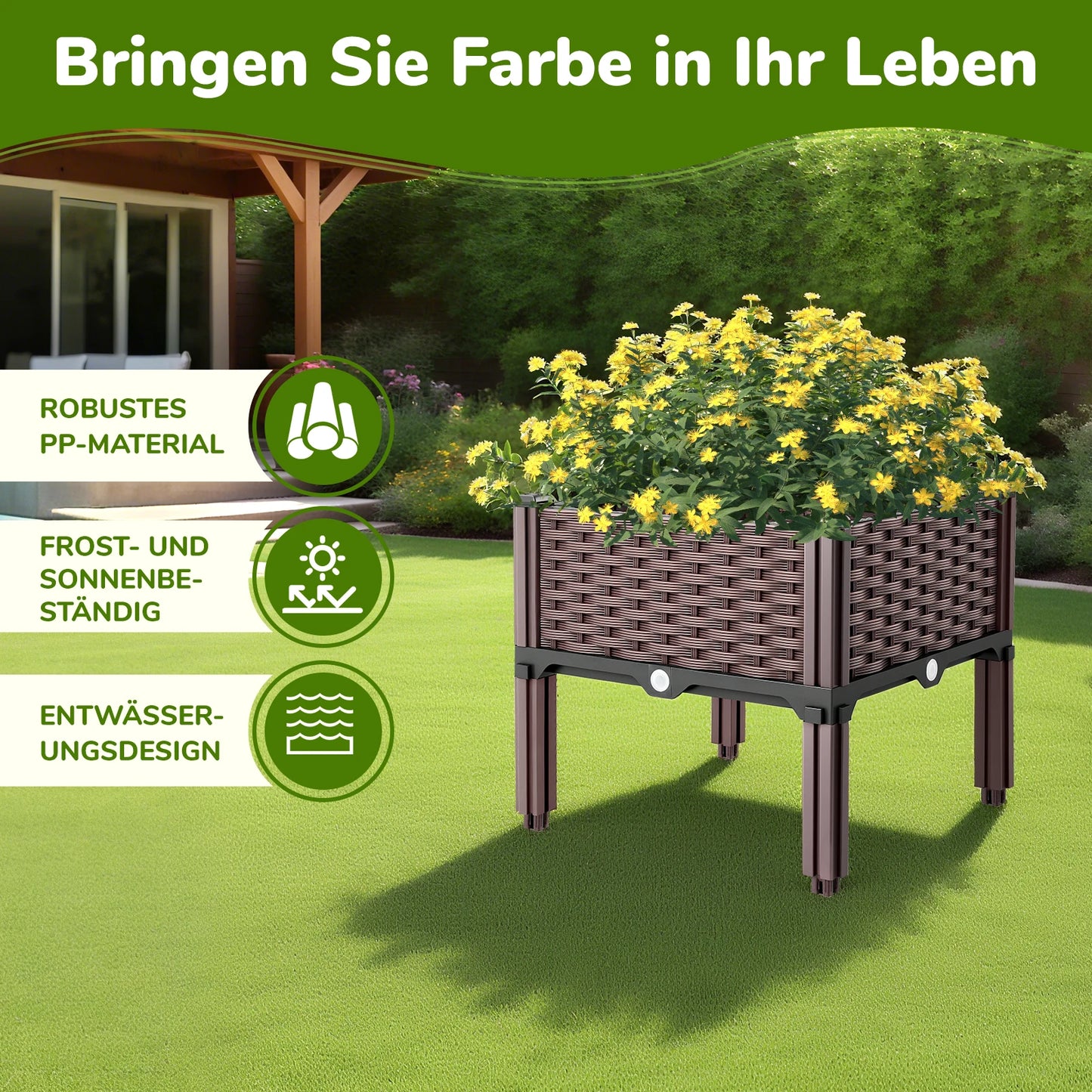 GrünBox Pflanzbeet Kunststoff PP 1 Fach Bewässerung