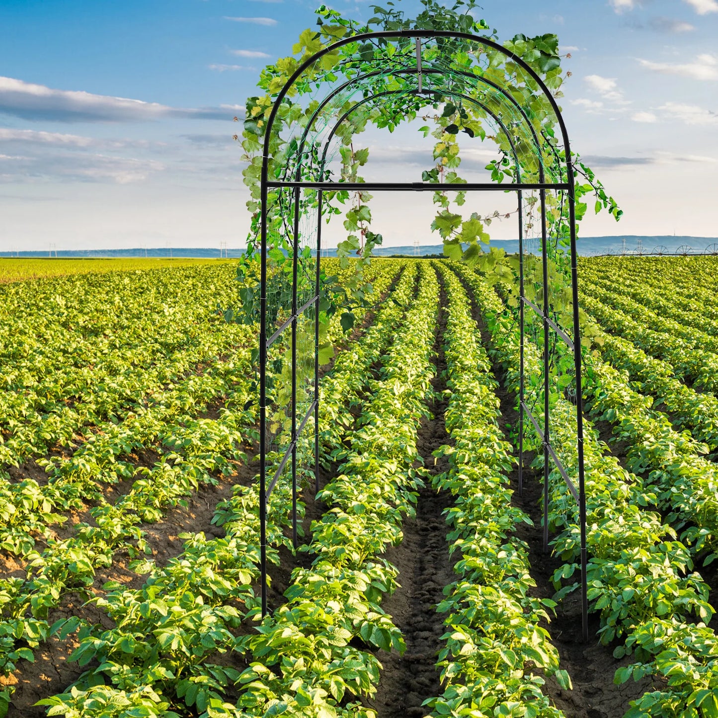 GartenMeister Gartenbogen 230 cm Höhe, 20 mm Rohrdurchmesser, Stahl/PE