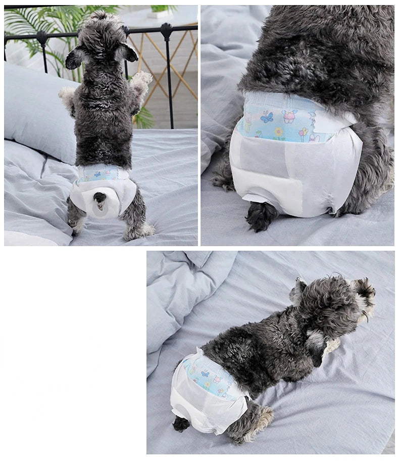 PetComfort Hund Einwegwindeln weiblich - 10er M hoch