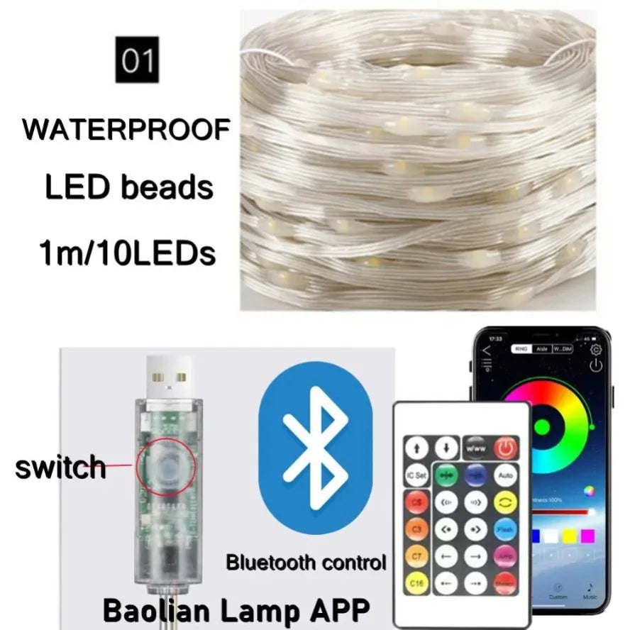 HZZKZZ WS2812B LED Lichterkette - Länge 5–20 m USB 5 V IP65