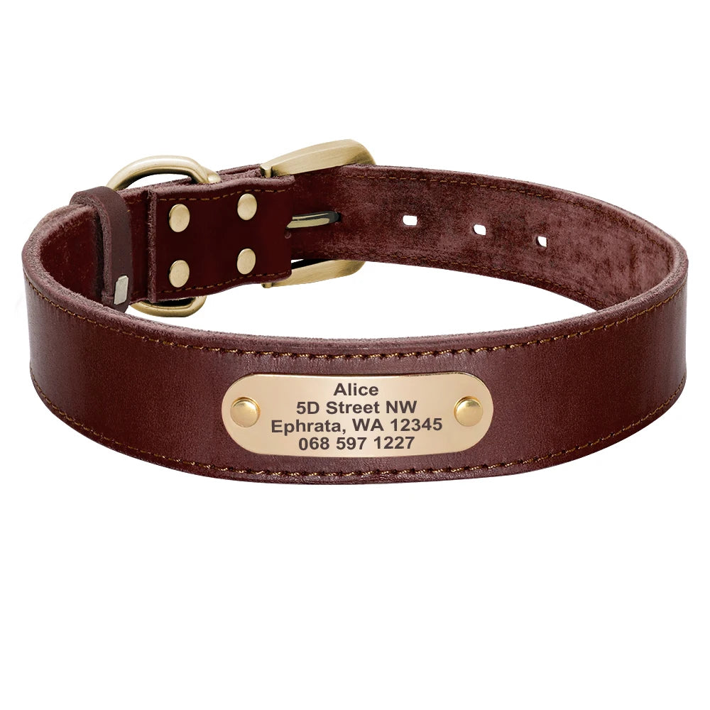 Echtes Leder Hund Halsband Leine Set Personalisiert Haustier Halsband Mit Leine Kostenlose Gravur Namensschild Für Kleine Mittlere Große Hunde