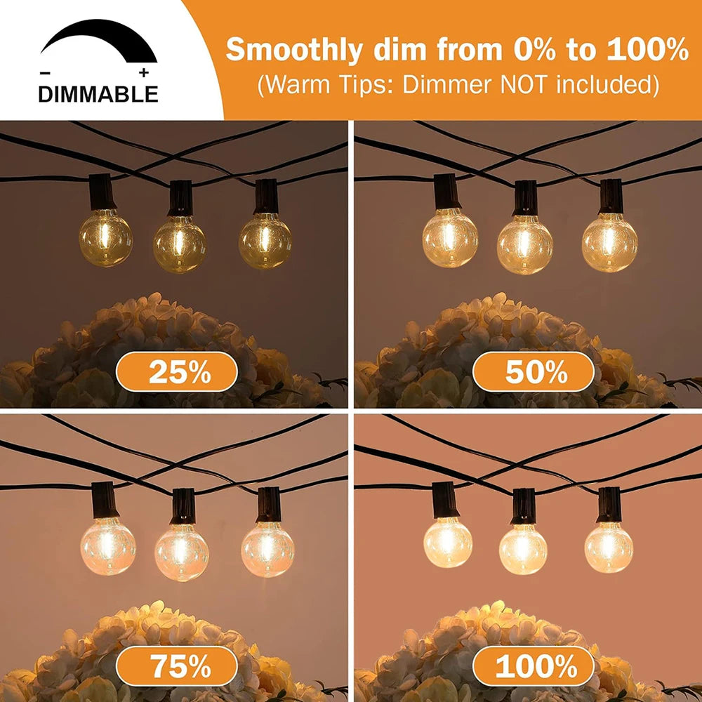 Festoon LED Lichterkette - Globe String Light G40 Outdoor Weihnachten Party Garten Deko Girlande Terrasse