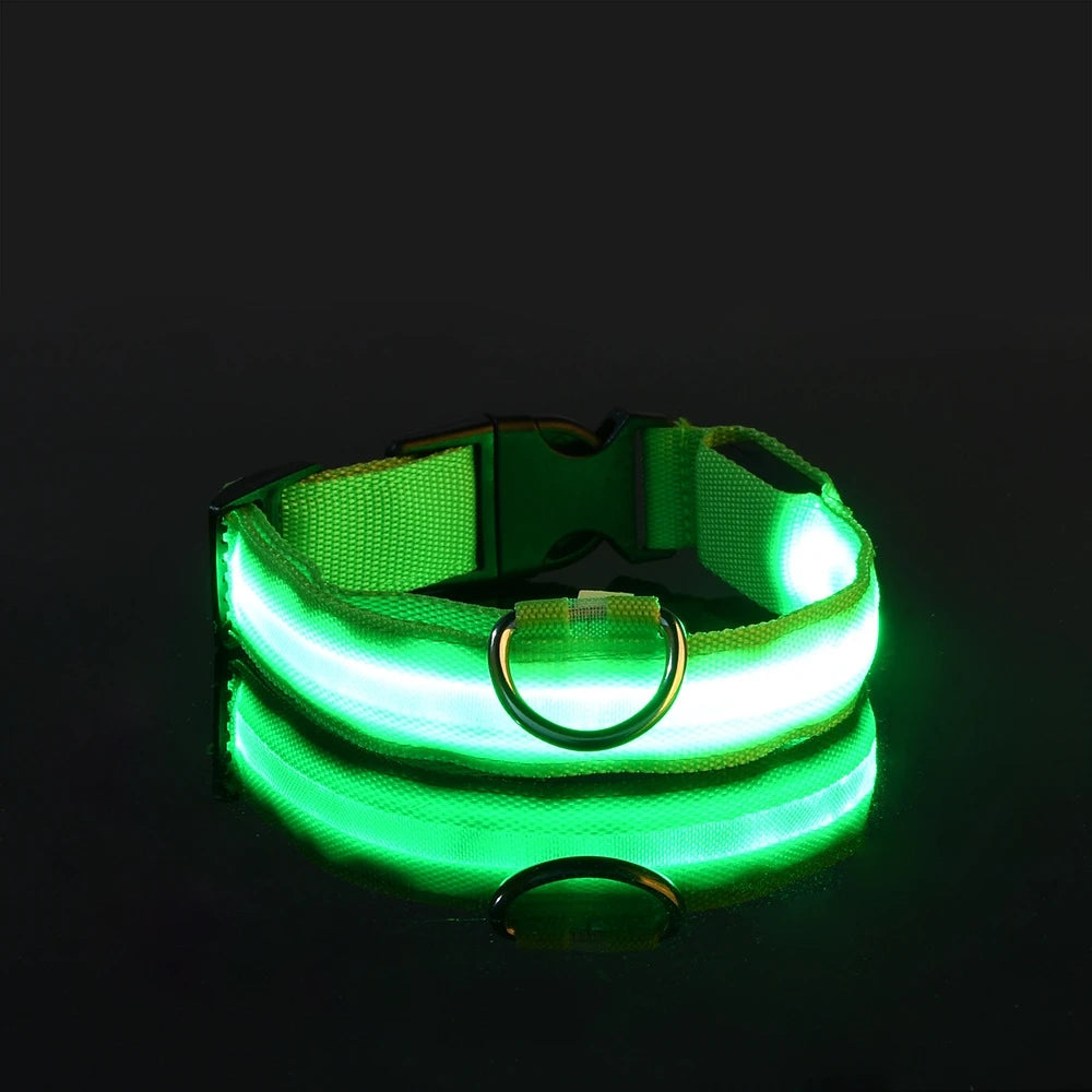 GlowDog Pro LED blinkend Leine - Nylon 1,5 m, USB 5V