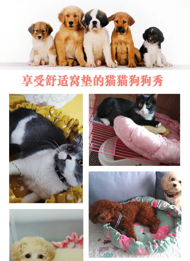 Rundes Katzen Bett 2025 - Plüsch Haus Langes Haustier Bett - Katzen Kissen Hunde Matte Warm Home Waschbar Hunde Sofa Weich Pet Accessories