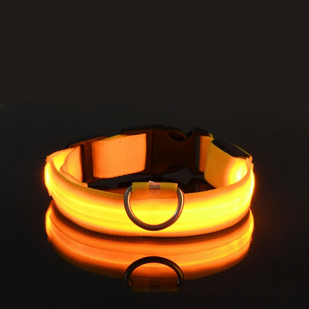 GlowDog Pro LED blinkend Leine - Nylon 1,5 m, USB 5V