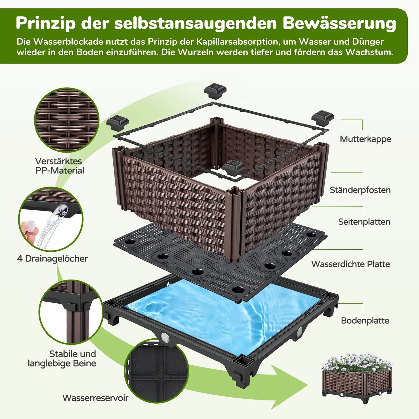 GrünBox Pflanzbeet Kunststoff PP 1 Fach Bewässerung
