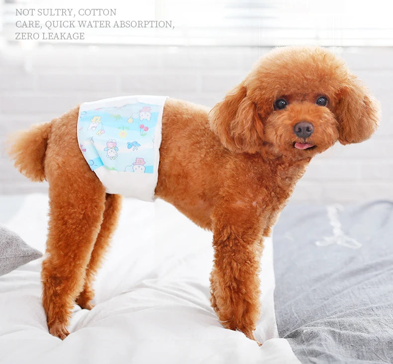 PetComfort Hund Einwegwindeln weiblich - 10er M hoch