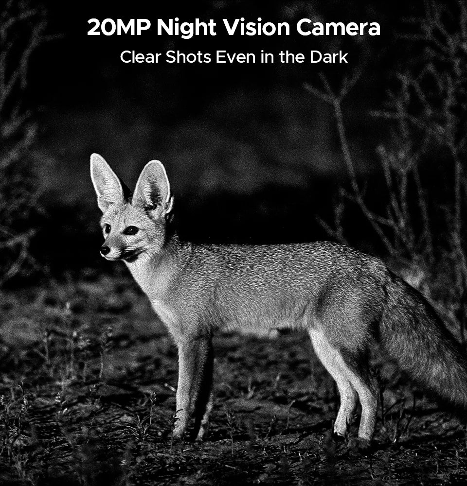 DOOGEE S200 X Gemini AI - 10100 mAh 33W 6,72 Zoll Display