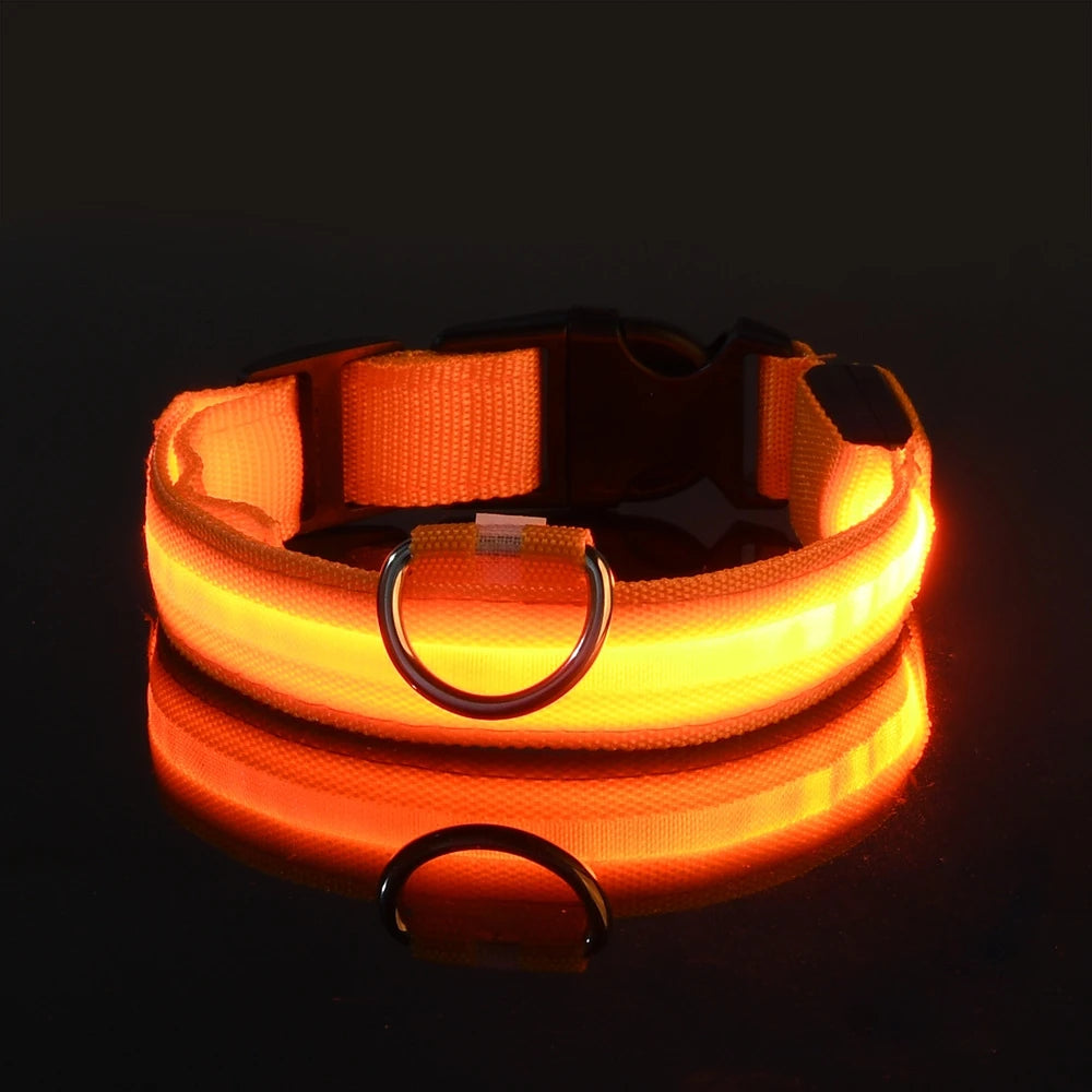 GlowDog Pro LED blinkend Leine - Nylon 1,5 m, USB 5V