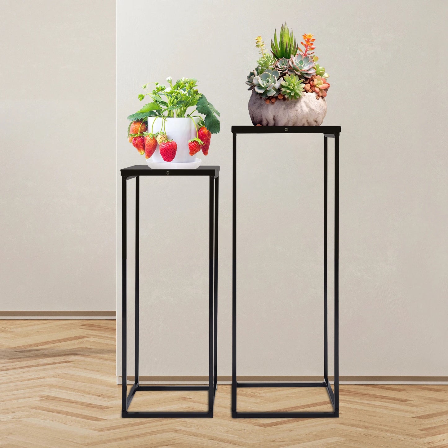 Bymaocar Pflanzenständer-Set 70/60 cm Metall Tragfähigkeit 4-5 kg